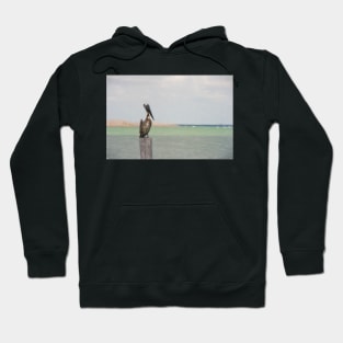 Pelican by the sea Hoodie